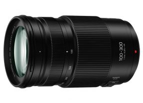 Panasonic MFT 100-300mm F/4.0-5.6 Lumix G Vario Mark II-4287