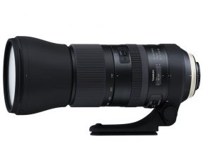 Tamron SP 150-600mm f/5.0-6.3 Di VC USD G2 Canon-6276