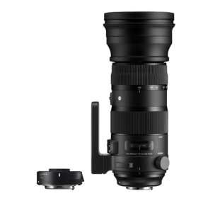 Sigma 150-600mm F5-6.3 DG OS HSM Sports + TC-1401 (kit) Nikon