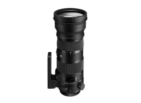 Sigma 150-600mm F5-6.3 DG OS HSM Sports + TC-1401 (kit) Nikon