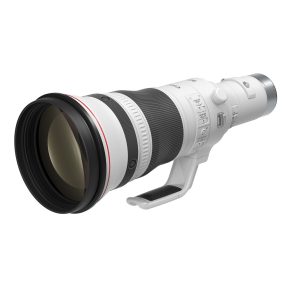 Canon RF 800mm f/5.6L IS USM