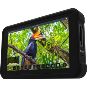 Atomos Shinobi 13,3cm (5.2″) monitor